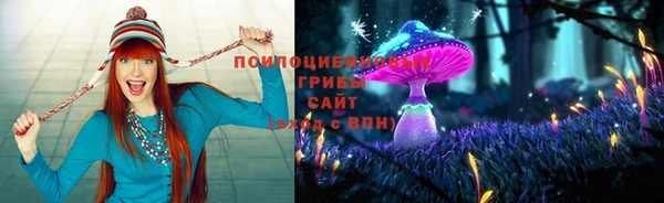 молекула духа Переславль-Залесский