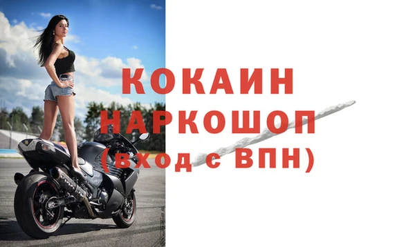 тгк Пересвет